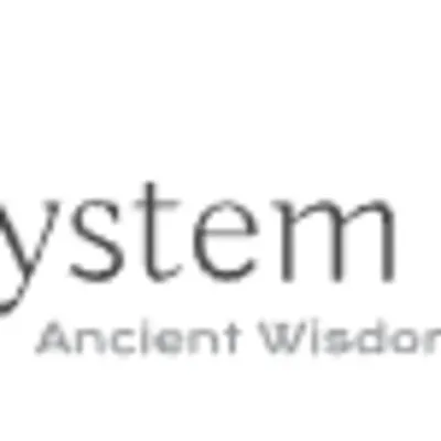 System Of Strategy