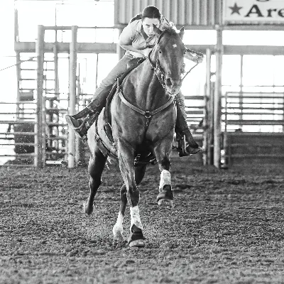 Powell Performance Horses LLC