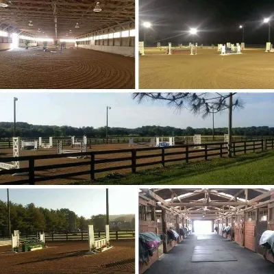 Aldie Equestrian Center/Fox Training