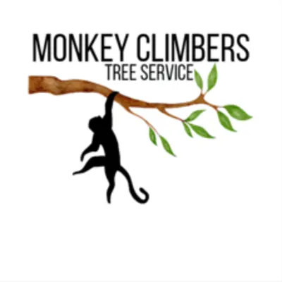 Monkey Climbers Tree Service