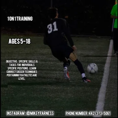 Mikey’s Soccer Training