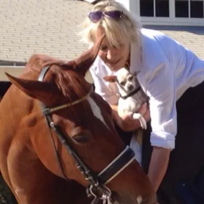 Edie Stephens Dressage