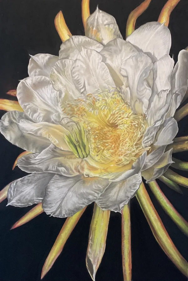 Pastel drawing by Sondra
