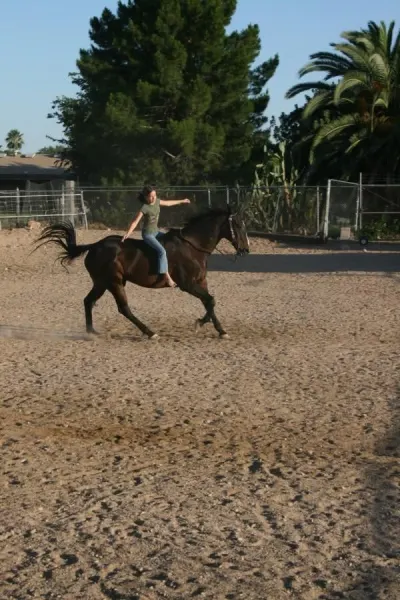 Galloping With Guidance