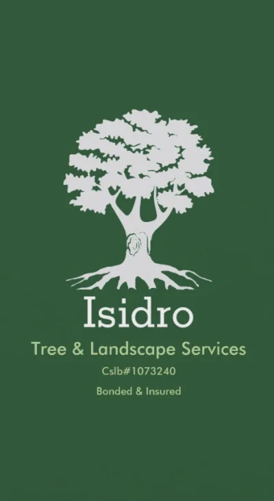 Isidro's Lawn Service