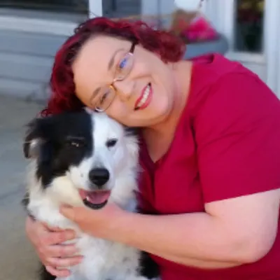 Imagine Dog Training
