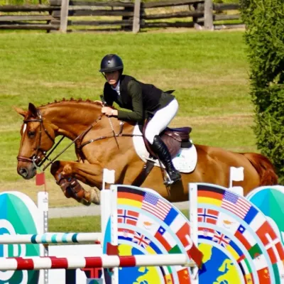 Flipside Horses