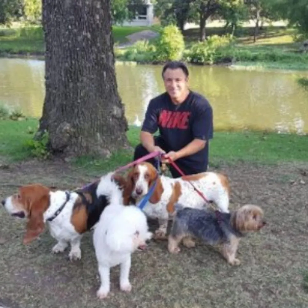 Double D Dog Training