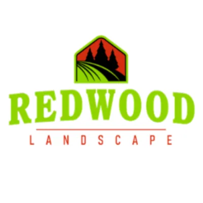 Redwood Landscape
