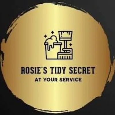 Rosie's Tidy Secret
