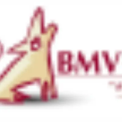 BMV Construction