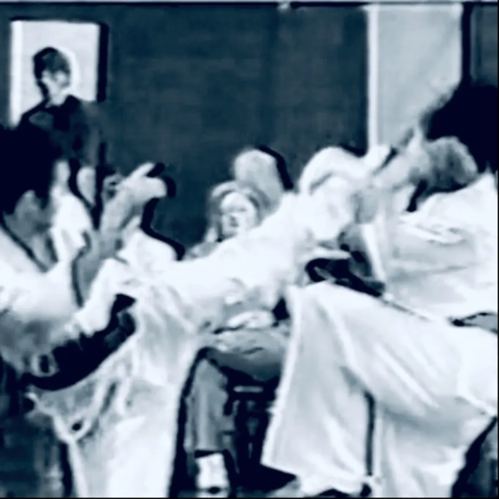 World Oyama Karate KATO Dojo