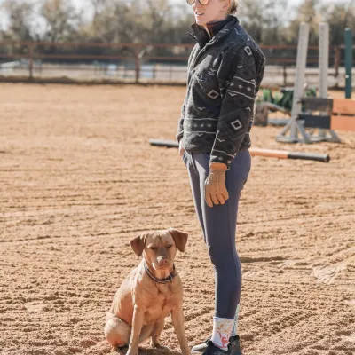Breakthrough Sport Horses LLC