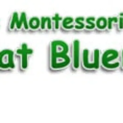 Village Montessori School