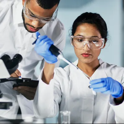 Research Fellow