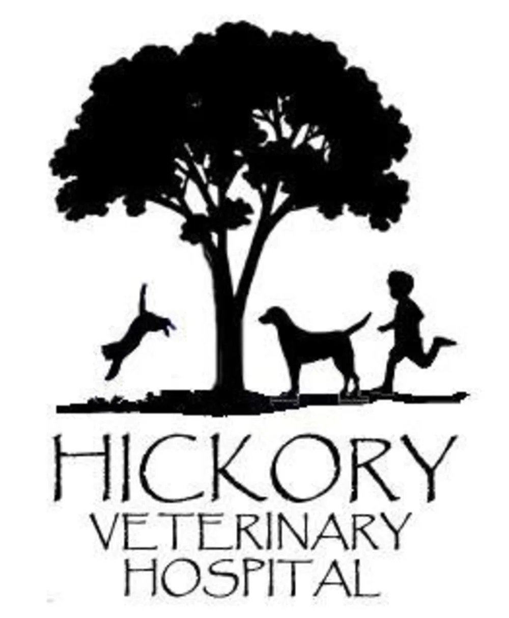 Hickory Veterinary Hospital