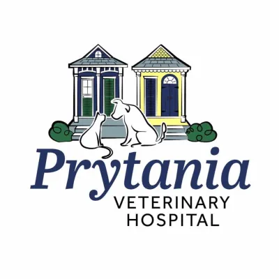 Prytania Veterinary Hospital