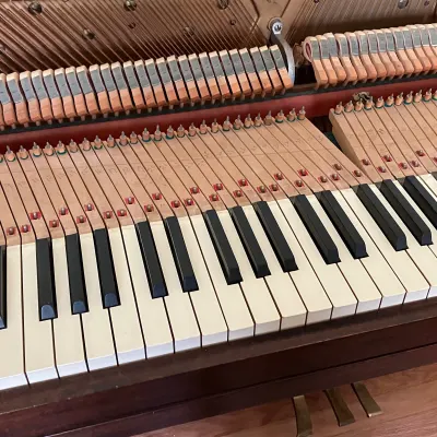 Harmonia Piano Tuning