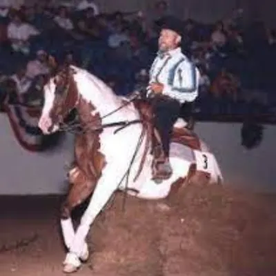 Oelke Equestrian