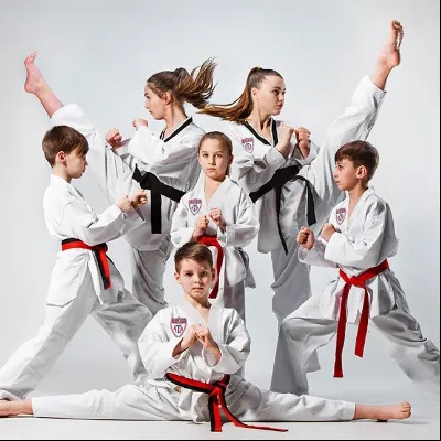 Practical Martial Arts Lessons