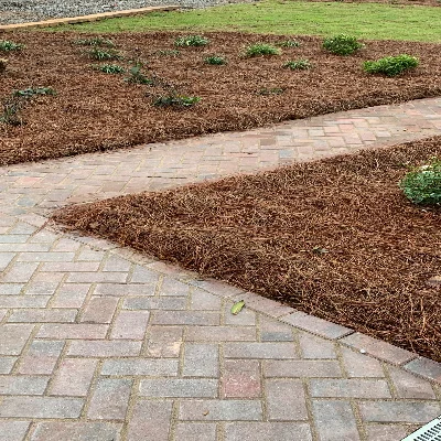 Jones Landscape And Lawn Service