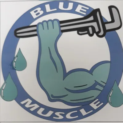 Blue Muscle Plumbing And Rooter Service