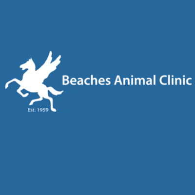 Beaches Animal Clinic