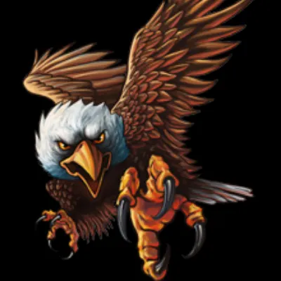 Eagle 1 Photography