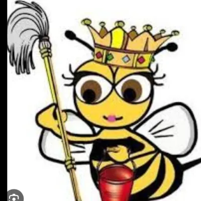 Busy Bees Cleaning 