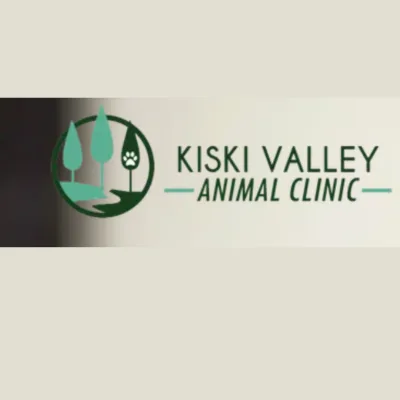 Kiski Valley Animal Clinic