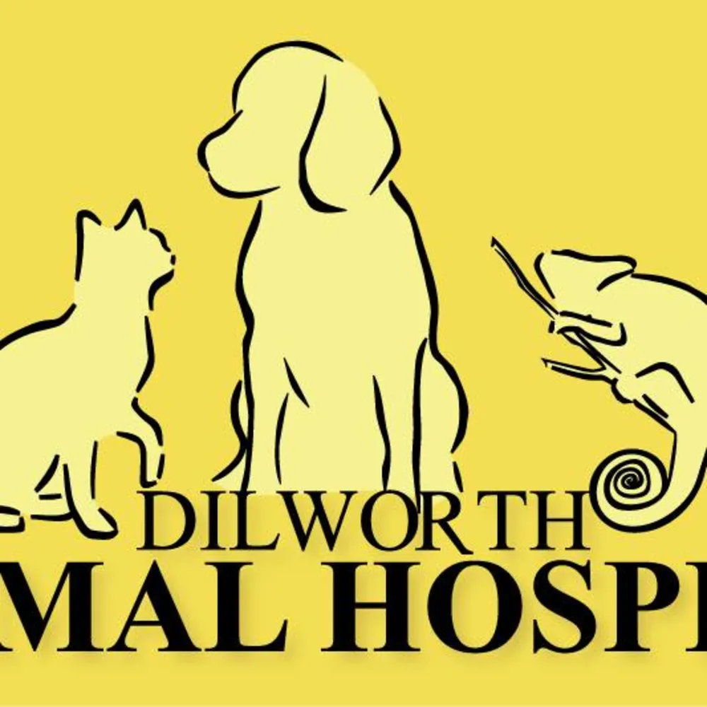 Dilworth Animal Hospital