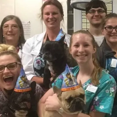 VCA Healthy Paws (Veterinarian, Boarding, Grooming, Training)
