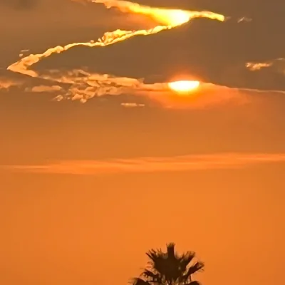 Beautiful Creations