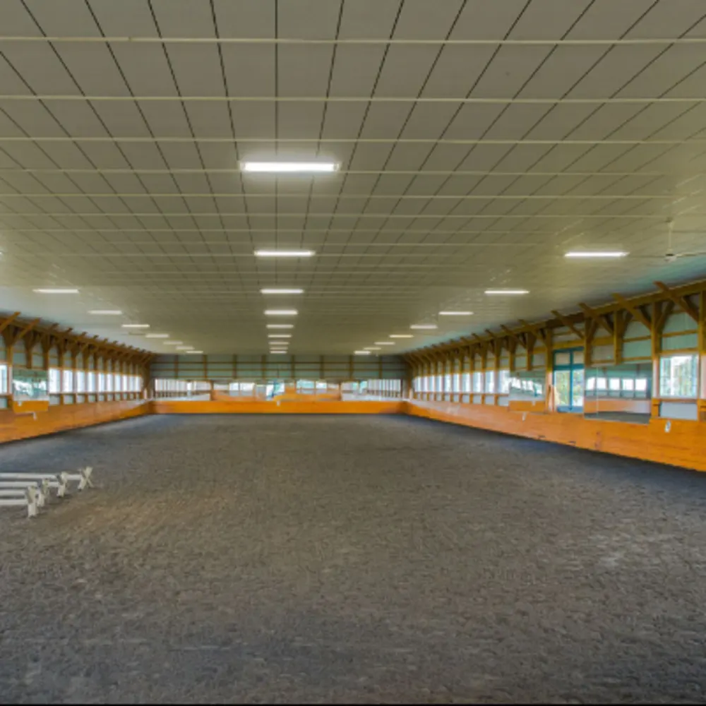 Dedication Dressage Farm