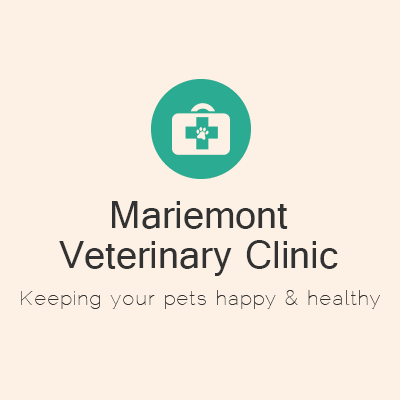Mariemont Veterinary Clinic