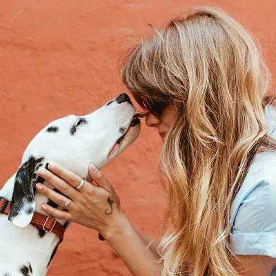 HB Mobile Pet Grooming