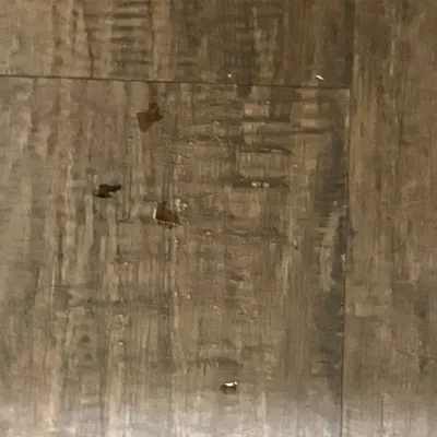 Walnut Removal 