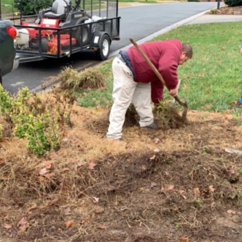 Mendoza Landscaping And Lawncare