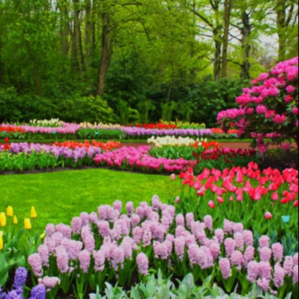 Landscpaes Of Ct