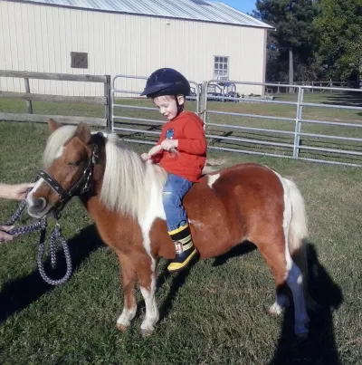 Rainbow Acres