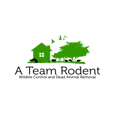 A Team Services, Inc.