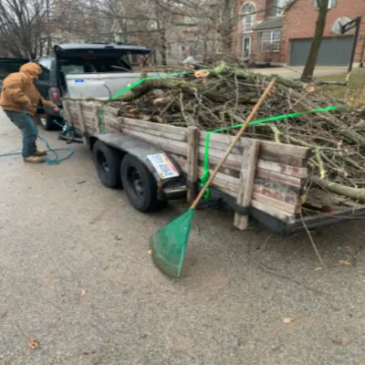 Piggly Wiggly Lawn And Tree Care