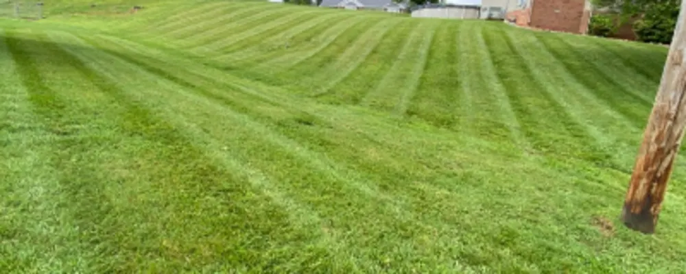 Rivera Landscaping