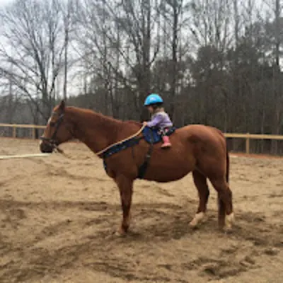Old Oaks Equestrian