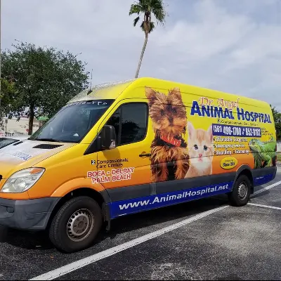 Animal Hospital Of Boca Raton