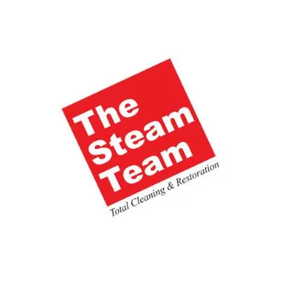 The Steam Team 