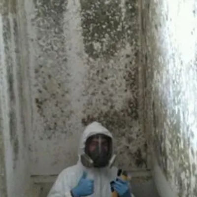 Thomas J. Kirk Mold Remediation