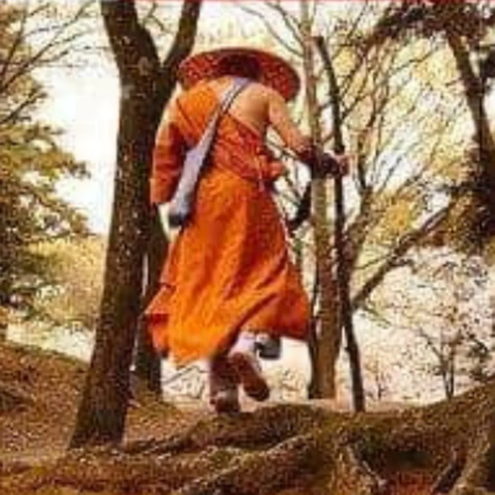 TrueKarate