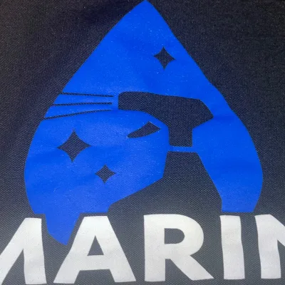 Marin Cleaning Services