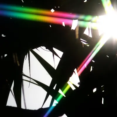 A & K Photography